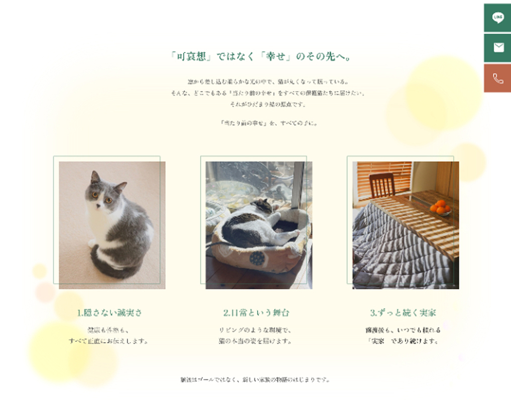 TOP_02