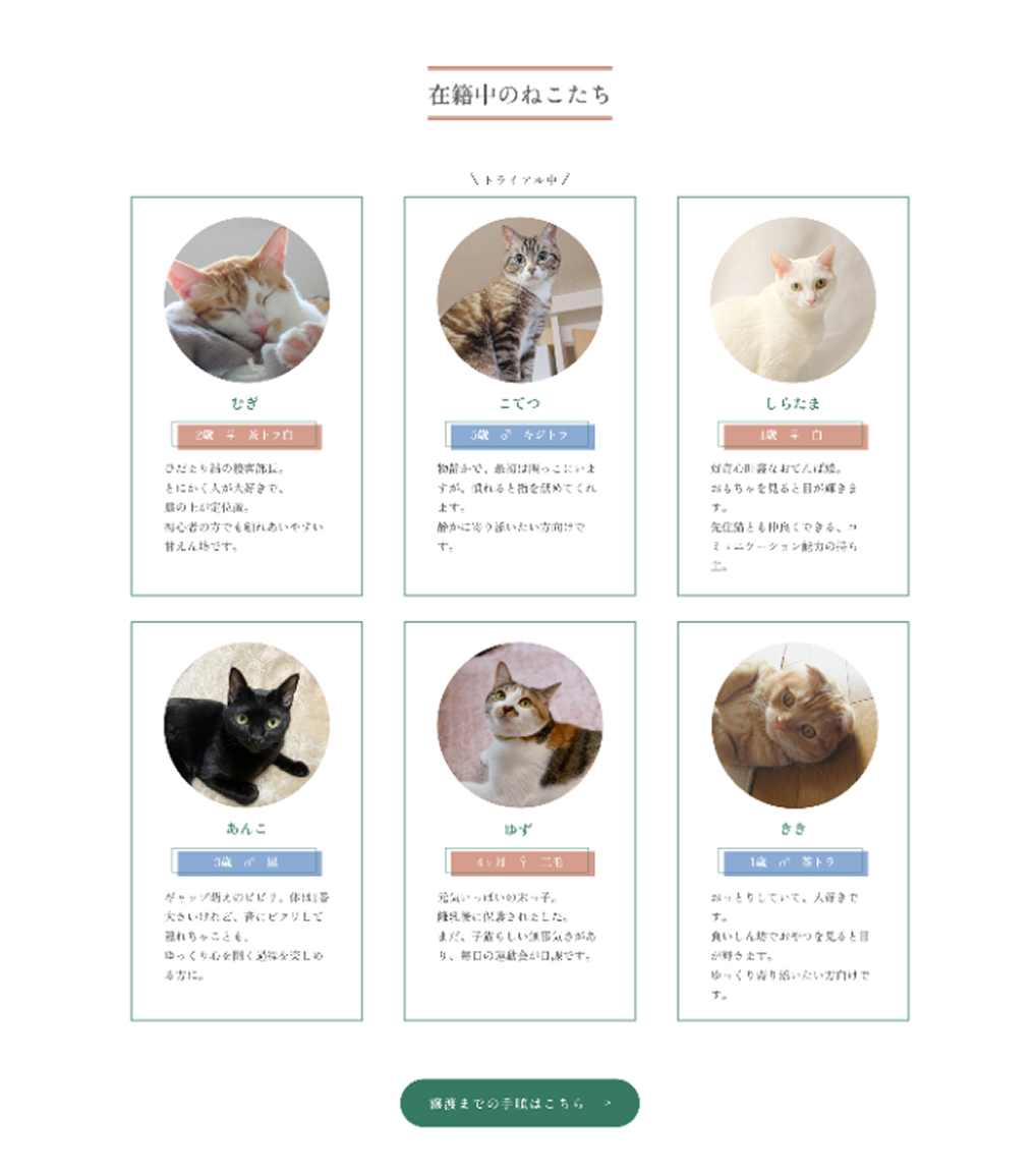 TOP_03